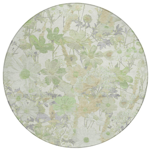 HomeRoots 5' Artichoke Green Floral Indoor Outdoor Area Rug - Durable, Washable, Stain-Resistant Beauty for Any Space 8' Round 611182