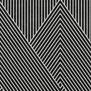 Homeroots 3' X 5' Stylish Geometric Washable Area Rug For Indoor And Outdoor Spaces - Durable & Versatile Design Black Polyester 612111