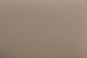 Baxton Studio Baxton Studio Lavin Mid-Century Dining Chair Set of 2 - Walnut Frame, Beige Faux Leather Comfort RT324-CHR