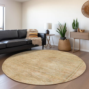 HomeRoots 5' Durable Aztec-Inspired Washable Indoor/Outdoor Area Rug for Versatile Home Styling & Easy Care 8' Round 615550