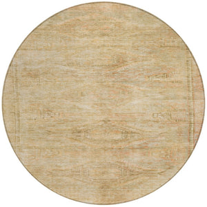 HomeRoots 5' Durable Aztec-Inspired Washable Indoor/Outdoor Area Rug for Versatile Home Styling & Easy Care 8' Round 615550
