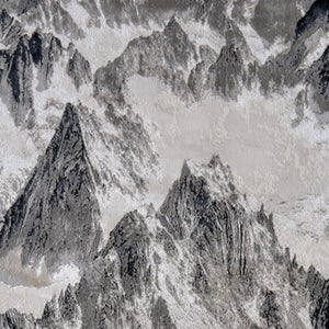 Homeroots 5' X 8' Abstract Area Rug - Stain Resistant, Durable Polyester, Perfect For Kids And Pets, Stylish Decor Black,Silver Polyester 616880