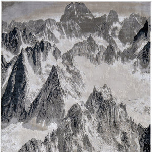 Homeroots 5' X 8' Abstract Area Rug - Stain Resistant, Durable Polyester, Perfect For Kids And Pets, Stylish Decor Black,Silver Polyester Blend 616881