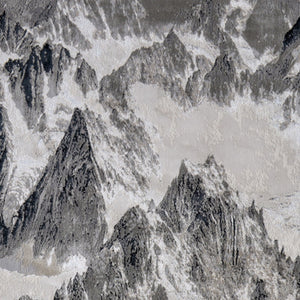 Homeroots 5' X 8' Abstract Area Rug - Stain Resistant, Durable Polyester, Perfect For Kids And Pets, Stylish Decor Black,Silver Polyester Blend 616883