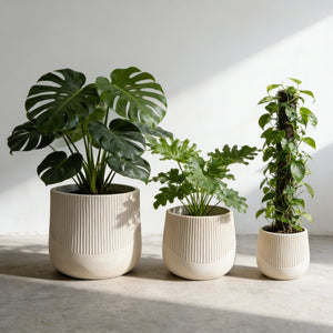 English Elm Large Magnesium Oxide Round Planter Set of 3 Lightweight Outdoor Patio Garden Pots W5212P434273
