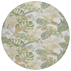HomeRoots 5' Indoor Outdoor Area Rug - Elegant Botanical Leaves in Ivory, Wheat & Olive Green for Any Space 8' Round 618408