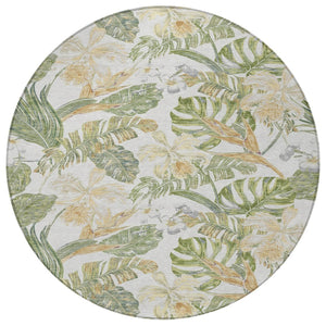 HomeRoots 5' Indoor Outdoor Area Rug - Elegant Botanical Leaves in Ivory, Wheat & Olive Green for Any Space 8' Round 618408