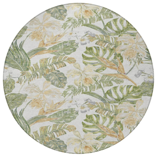 HomeRoots 5' Indoor Outdoor Area Rug - Elegant Botanical Leaves in Ivory, Wheat & Olive Green for Any Space 8' Round 618408