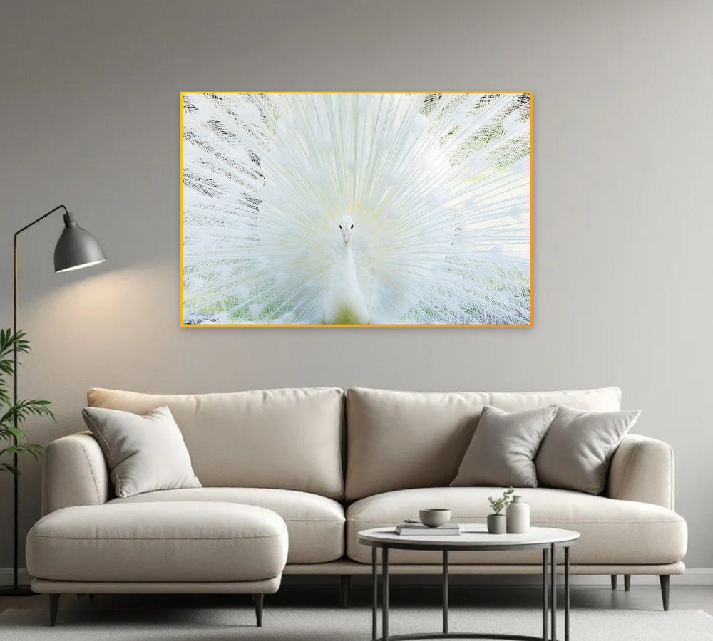 Homeroots White Peacock Gold Framed Wall Art – Stunning Multi-color Photography For Trendy Home Decor Accent  Acrylic 618569