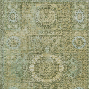 HomeRoots 5' Sage & Fern Green Floral Medallion Area Rug - Washable, Durable, Perfect for Indoor & Outdoor Use! 619476