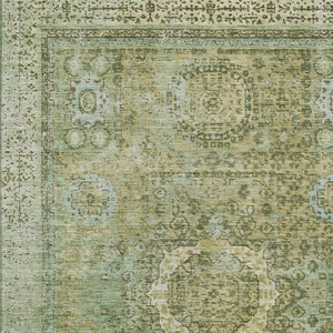 HomeRoots 9' X 12' Sage and Fern Green Floral Medallion Area Rug – Durable, Washable, Perfect for Indoor/Outdoor Use 619479