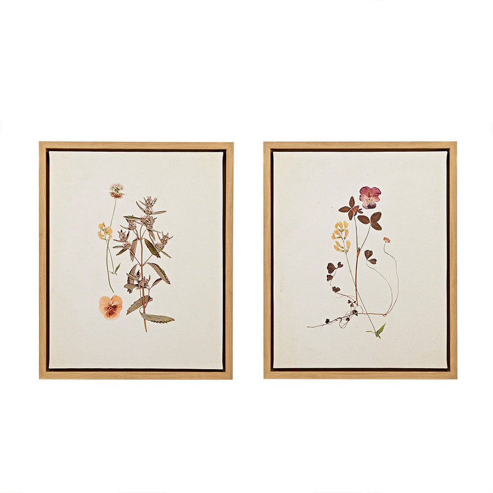 JLA Home Madison Park - 2-piece Framed Canvas Wall Art Set by Devon Ross — Linen-Texture Wildflower Prints, Natural Wood Frames, Ready-to-Hang (17.8"x21.8") MT95C-0005