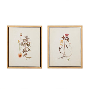 Martha Stewart French Herbarium Transitional 2-piece Framed Canvas Wall Art Set MT95C-0005 Multi