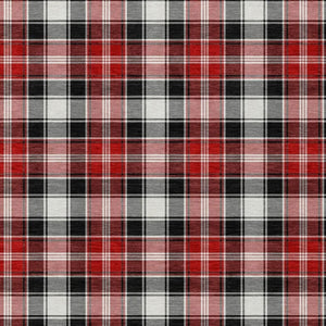 HomeRoots 10' X 14' Classic Black Red And White Plaid Washable Area Rug for Indoor Outdoor Versatility & Style 621429