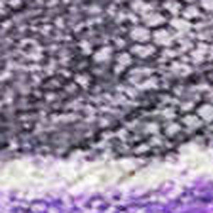 HomeRoots 5' Elegant Lavender and Ivory Floral Washable Area Rug for Indoor and Outdoor Spaces, Durable Design 8' X 10' 623225