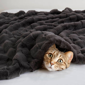 JLA Home Madison Park - Faux Plush Faux Fur Throw with Basket-Weave Texture, Machine-Washable, Oeko‑Tex Certified Comfort and Style Grey MP50-8256