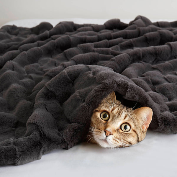 JLA Home Madison Park - Faux Plush Faux Fur Throw with Basket-Weave Texture, Machine-Washable, Oeko‑Tex Certified Comfort and Style Grey MP50-8256