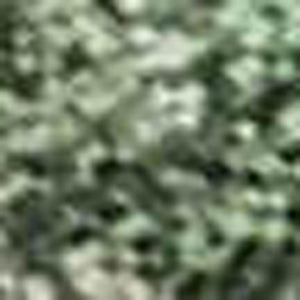 HomeRoots 5' Enhance Your Space with a Fern Green and Beige Abstract Washable Area Rug for Indoor & Outdoor Use 5' X 8' 630682