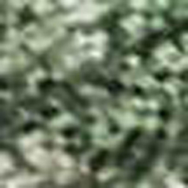 HomeRoots 5' Enhance Your Space with a Fern Green and Beige Abstract Washable Area Rug for Indoor & Outdoor Use 10' X 14' 630686