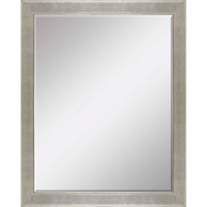 HomeRoots 53 Inch Silver Solid Wood Framed Wall Mirror Elegant Accent for Living or Entryway 632815