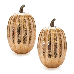 HomeRoots Set of Two Orange Glass Pumpkins with LED - Elegant Fall Tabletop Sculptures for Thanksgiving Decor 633933