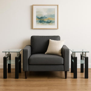 HomeRoots Set of Two Modern Clear Glass and Black Metal Square End Tables with Shelf for Versatile Use 635679