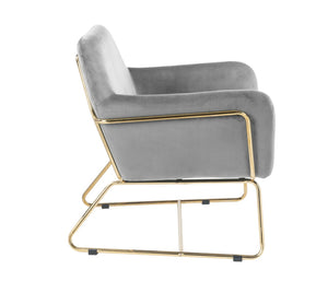 English Elm Kyra Velvet Accent Chair with Gold Metal Legs for Glam Living Room Decor Gray B2749P413225