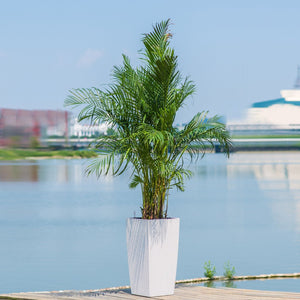 English Elm 30 Inch Tall Faux Rattan Planter Self Watering Outdoor Indoor Patio Garden Pot White W3213P325513