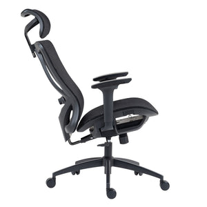 HomeRoots Black Ergonomic Adjustable Swivel Rolling Office Chair with Lumbar Support for Comfort & Style 638374