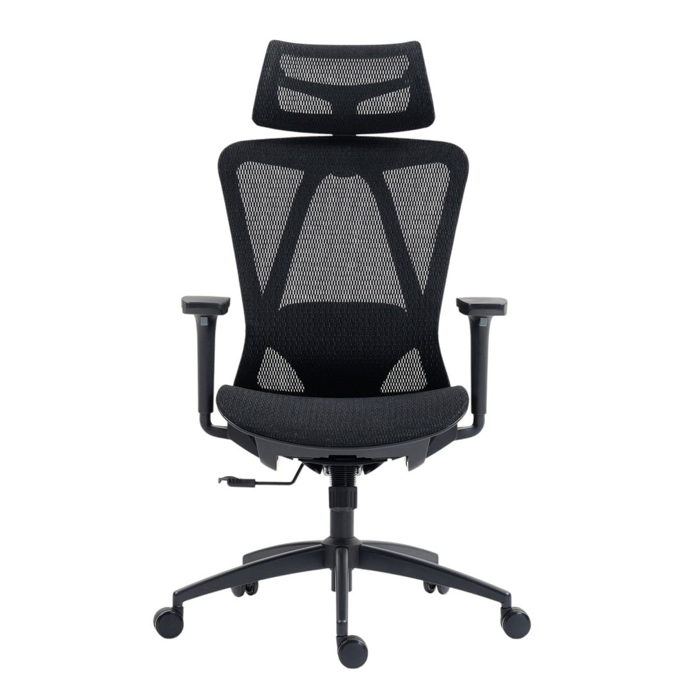 HomeRoots Black Ergonomic Adjustable Swivel Rolling Office Chair with Lumbar Support for Comfort & Style 638374