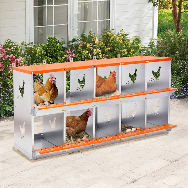 English Elm 10-bay Galvanized Steel Wall Mount Nest Box with Coconut Fiber Pads for Backyard Flocks W1422P355412