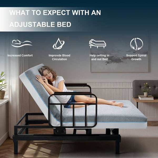 English Elm Electric Lift Bed for Seniors with Okin Motor Steel Frame and Adjustable Backrest W2699S00108