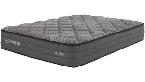 English Elm Balance- 12 Inch California King Hybrid Mattress Graphite Foam Pocketed Coil Support B342P315701