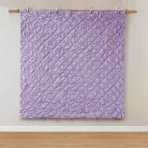 English Elm 3PCS Plush Microfiber Full/Queen Comforter Set with Hypoallergenic Poly Fill and Soft Shams Purple 16.93 L x 12.99 W x 6.69 H B035P366526