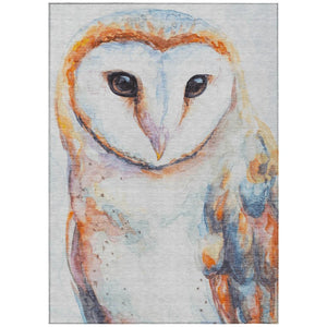 HomeRoots Washable Owl Motif Polyester Area Rug for Indoor Outdoor Patios Living Rooms and Playrooms 5' x 8' 642018