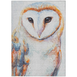 Washable Owl Motif Polyester Area Rug for Indoor Outdoor Patios Living Rooms and Playrooms