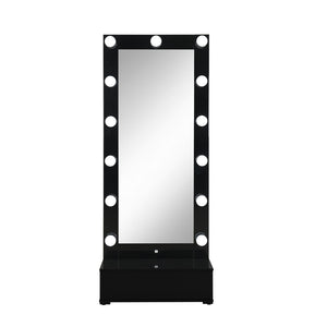 HomeRoots 74" Black Wood Lighted Full-Length Mirror with Adjustable LED & Hidden Drawer for Glamorous Spaces 643654