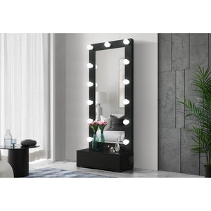 HomeRoots 74" Black Wood Lighted Full-Length Mirror with Adjustable LED & Hidden Drawer for Glamorous Spaces 643654