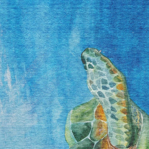 HomeRoots 5' X 8' Nautical Area Rug in Pacific Blue, Emerald & Beige – Washable, UV Protected & Stain Resistant! 645369