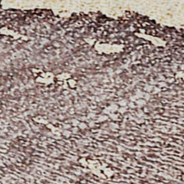 HomeRoots 10' Blue and Green Abstract Washable Area Rug - UV Protection, Stain Resistant, Perfect for High-Traffic Homes 646488