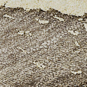 HomeRoots 8' X 10' Contemporary Taupe & Gray Abstract Area Rug – Washable, UV Protected, Stain Resistant Design 646504