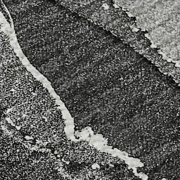 HomeRoots 10' X 14' Gray and Ivory Abstract Area Rug – Washable, UV Protected, Soft, and Durable for Any Space 646674