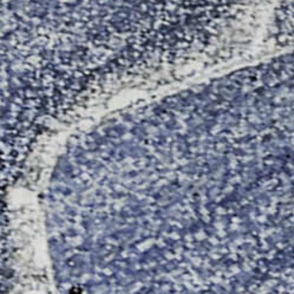 HomeRoots 5' X 8' Navy Blue & Ivory Abstract Area Rug – Stylish, Washable, UV-Protected for Busy Homes 647238