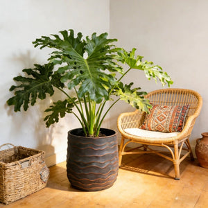English Elm Large Concrete Texture Magnesium Oxide Round Planters Duo Indoor Outdoor Patio W5212P434275