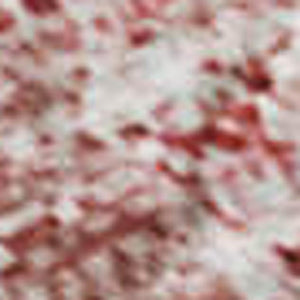 HomeRoots 9' X 12' Merlot & Ivory Abstract Area Rug - Washable, UV Protected, Durable, Perfect for High-Traffic Spaces 648435