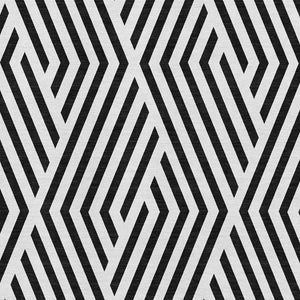 HomeRoots 8' X 10' Black and Ivory Geometric Area Rug - Washable, UV Protected, Durable for Everyday Use 648518