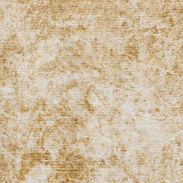 HomeRoots 5' X 8' Beige and Ivory Abstract Washable Area Rug – UV Protected, Stain-Resistant, Kid & Pet Friendly! 648780