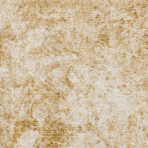 HomeRoots 10' Beige and Ivory Abstract Washable Area Rug - UV Protected, Stain-Resistant, Perfect for Homes! 648784