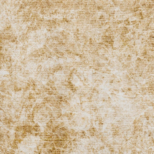 HomeRoots 10' Beige and Ivory Abstract Washable Area Rug - UV Protected, Stain-Resistant, Perfect for Homes! 648784