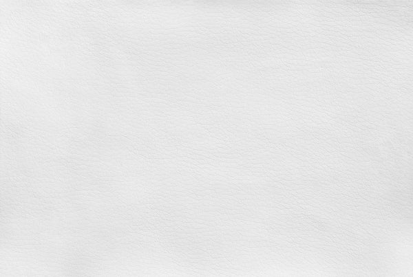 English Elm Office Bar Height Chair with Curved Supportive Back and Cushioned PU Seat on Slim Metal Frame White 30 L x 23 W x 11 H B2710P219929